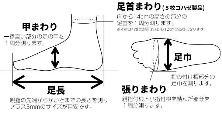 ５コハゼの採寸表