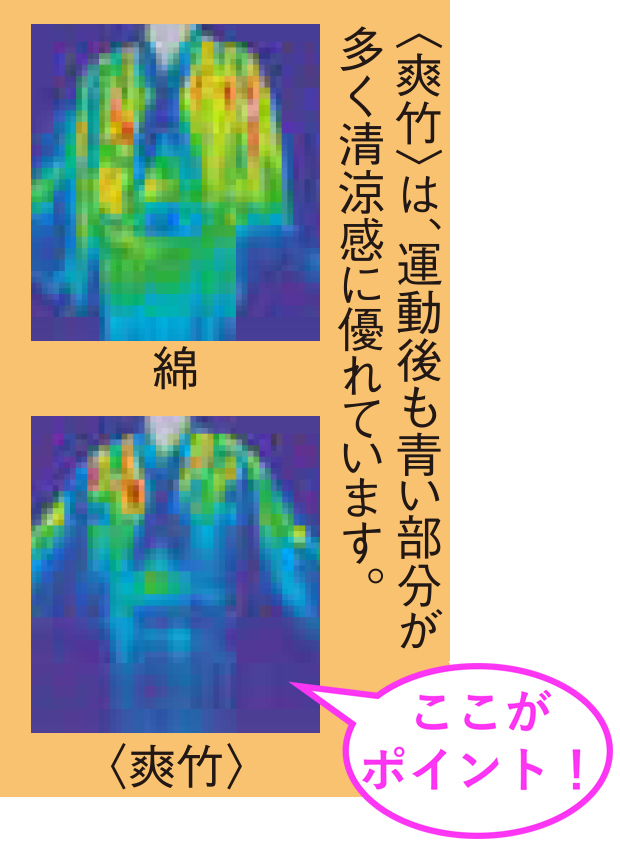 涼しさを証明するサーモグラフィー画像