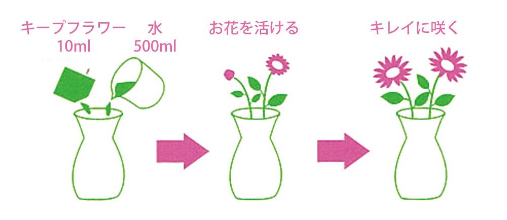 キープフラワー 【お花長持ち 業務用】説明図
