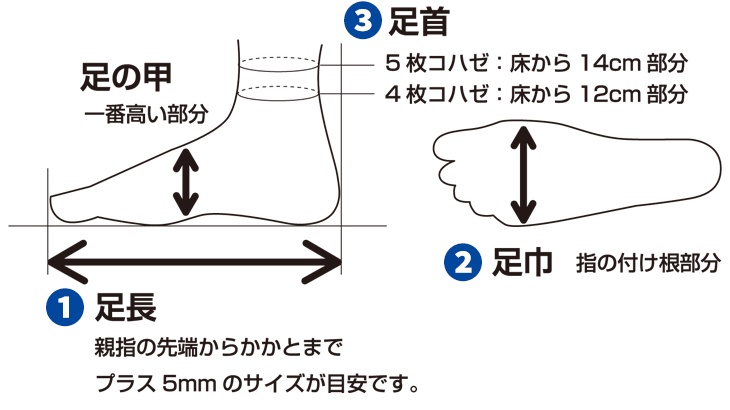 さ 足 測り 方 の 長